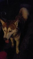 20170818_205309.jpg