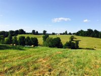 1648-acres-beautiful-pasture-land-brownsville-edmonson-county-kentucky-117867-QMLJOX-XL.jpg