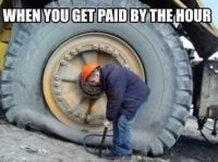 85442334.jpg