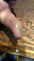 IMG_20170827_190411090.jpg