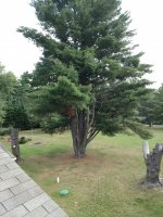 IMG_20170901_100445684.jpg