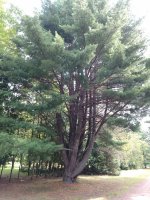IMG_20170901_104117567.jpg