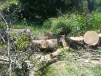 20170901_131651.jpg