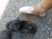20170901_141046.jpg