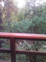 IMG_20170901_182846.jpg
