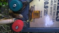 WP_20170905_001.jpg