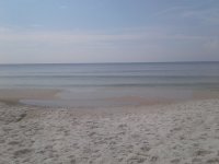 20170905_104953.jpg
