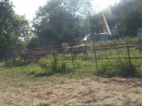 20170905_163722.jpg
