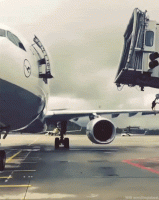 IMG_4809.GIF