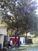 IMG_20170906_103940.jpg