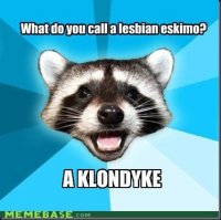 memes-lame-pun-coon-lesbian-eskimos_thumb[1].jpg
