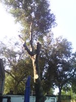 IMG_20170908_094003.jpg