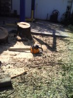 IMG_20170908_112743.jpg