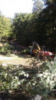 20170909_102630.jpg