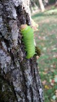 20170912_162354.jpg