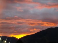 20170914_070229.jpg 20170914_070229.jpg