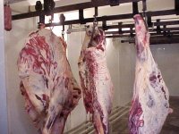 optbeefhangingincooler242701.jpg