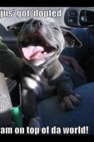 10c22c32e4db00a54835de5f3a13a60c--so-happy-happy-baby.jpg 10c22c32e4db00a54835de5f3a13a60c--so-happy-happy-baby.jpg