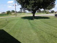 20170715_161200.jpg 20170715_161200.jpg