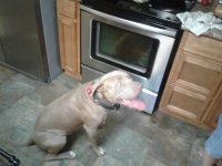 20170921_162349.jpg 20170921_162349.jpg