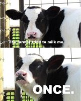 funny-animal-pictures-with-captions-010-026.jpg