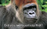 did-you-really-say-that-gorilla.jpg