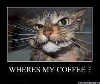 9c1e521bf4995f1b65740ce95d9384b1.jpg 9c1e521bf4995f1b65740ce95d9384b1.jpg