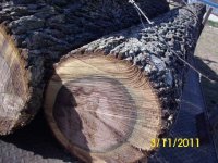 DSCI0002.JPG DSCI0002.JPG