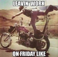 IMG_4955.JPG IMG_4955.JPG