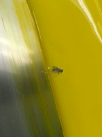 20171005_195225.jpg 20171005_195225.jpg