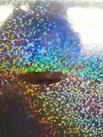 20171006_191316.jpg 20171006_191316.jpg