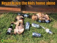 funny-dog-picture-home-alone.jpg funny-dog-picture-home-alone.jpg