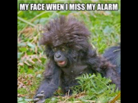 IMG_4910.PNG IMG_4910.PNG