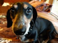 IMG_20171016_172215238.jpg IMG_20171016_172215238.jpg