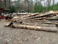 IMG_20171023_152008570.jpg
