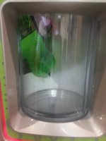 20171026_154834.jpg