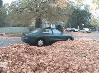 6BeZNwv.gif