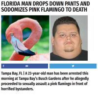 florida-man-drops-down-pants-and-sodomizes-pink-flamingo-to-28459188.png