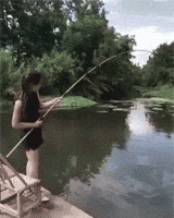85456274.gif