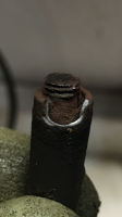 ED3692FD-3575-4FC0-8AFD-F19799C70B22.png