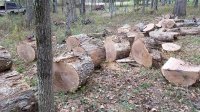 20171028_143252.jpg