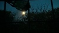 WP_20171030_17_33_52_Pro.jpg