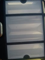 DSC03500.JPG