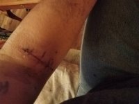 20171104_075214.jpg