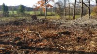 20171104_093214.jpg