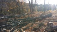 20171104_093208.jpg