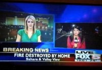 welp-in-other-news-20-photos-218.jpg