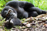 funny-animals-228-02.jpg