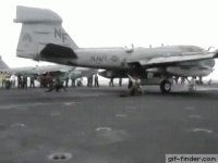IMG_5092.GIF