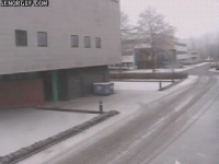 driving-isnt-for-everyone-just-ask-these-rides-2.gif